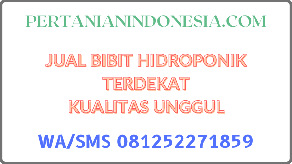 Jual Bibit Hidroponik Terdekat Kualitas Unggul